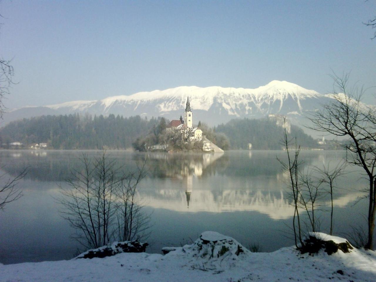 Holiday Home Katricnek Бохинийска Бела Екстериор снимка